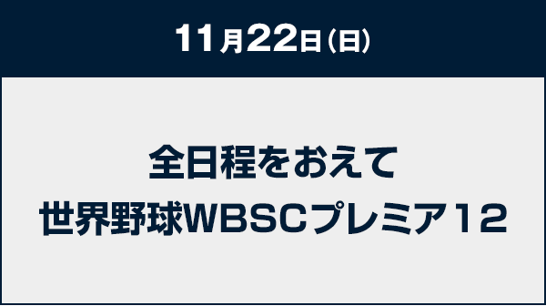 11月22日（日）