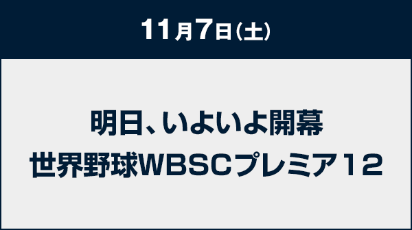 11月7日（土）